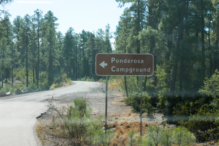 A guide to camping at Ponderosa Campground in Arizona.