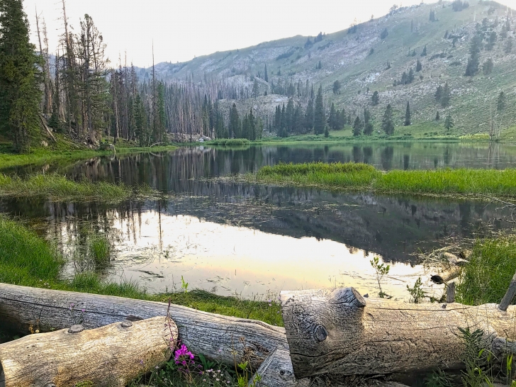 A guide to camping at Little Roaring River Lake Campground Idaho