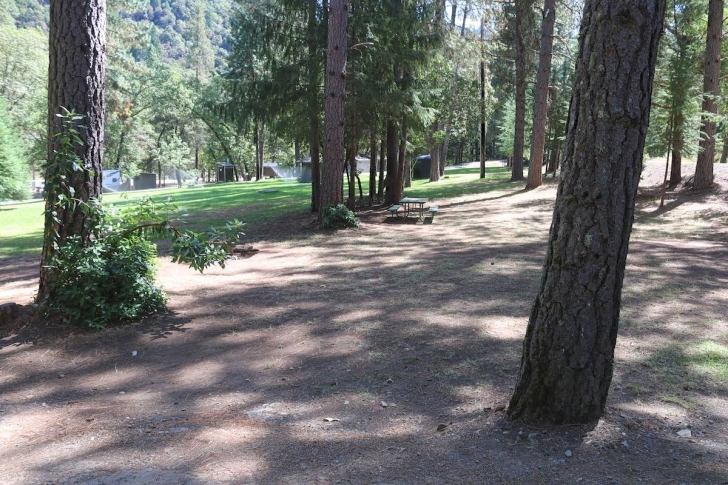 Almeda Park in Oregon - Campsite 9