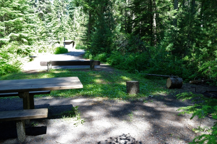 A picture of what I believe is campsite 13 in Giant White Pine Campground which shows the fire ring and picnic table.