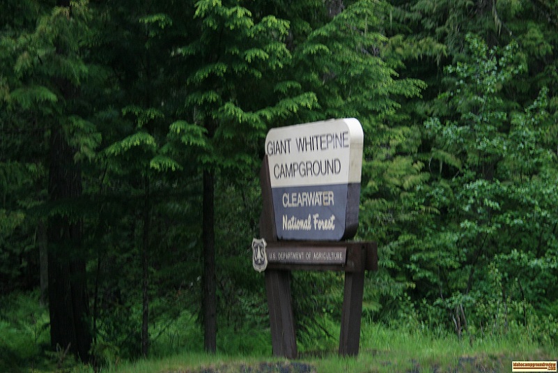 A picture of the Sign at the entrance of Giant Whitepine Campground