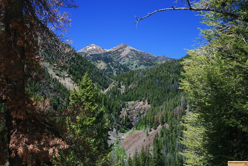 This is mountain peak to the NW of Trail Creek Summit.