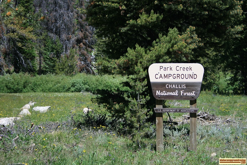 Park Creek Campground in the Pioneer Mountains.