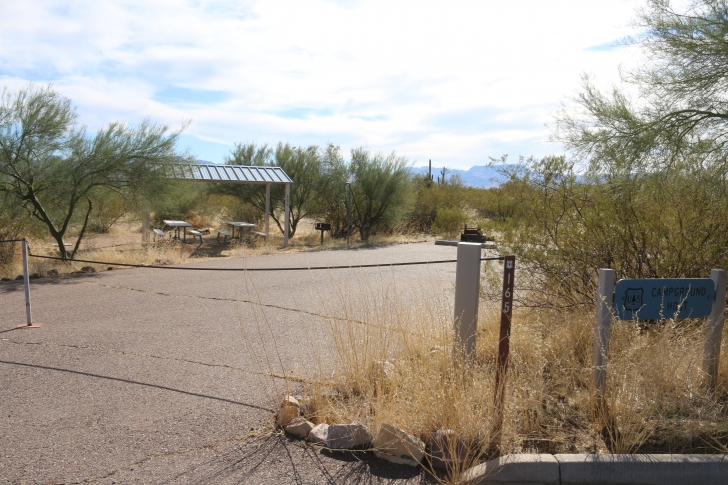 A Guide to camping at Schoolhouse Point Recreation Site in Arizona.
