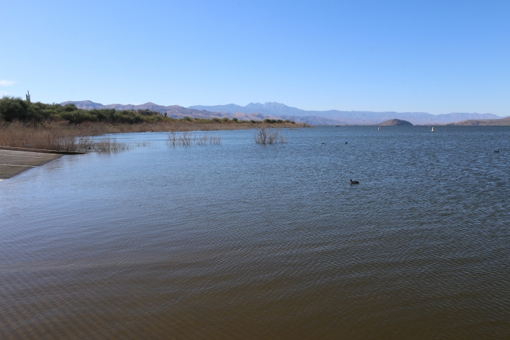 A Guide to camping at Schoolhouse Point Recreation Site in Arizona.