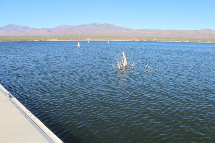A Guide to camping at Schoolhouse Point Recreation Site in Arizona.