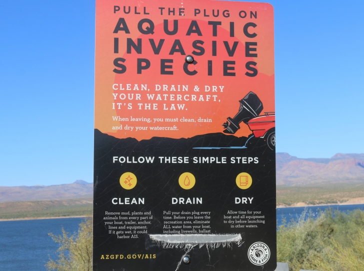 A Guide to camping at Schoolhouse Point Recreation Site in Arizona.