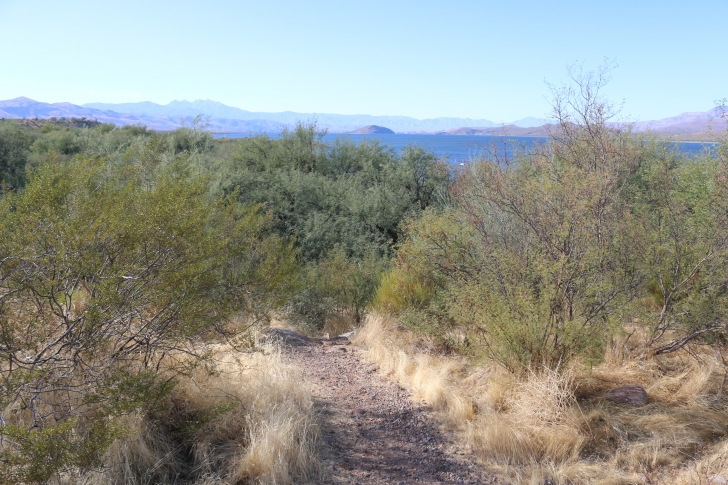 A Guide to camping at Schoolhouse Point Recreation Site in Arizona.