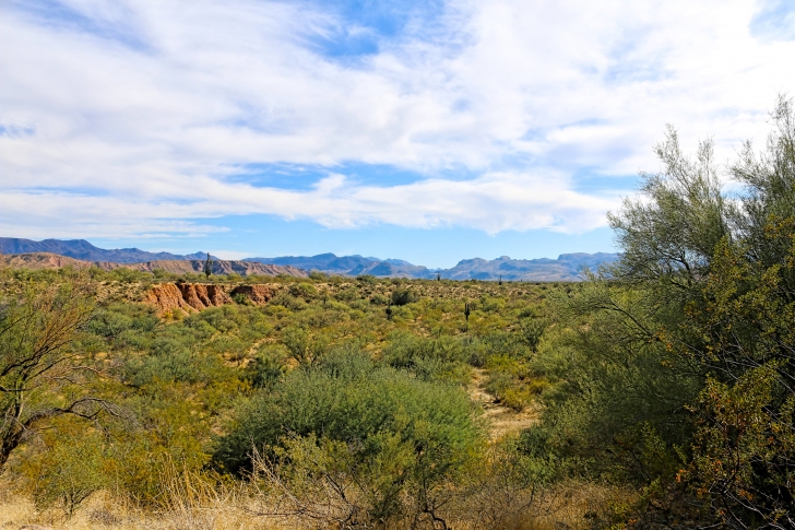A Guide to camping at Schoolhouse Point Recreation Site in Arizona.