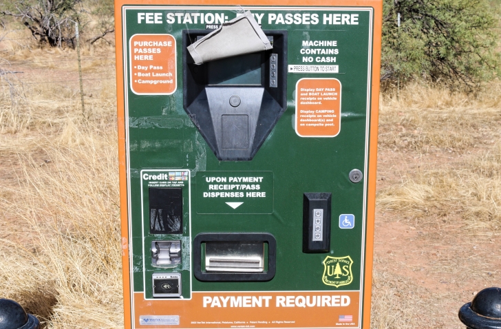 A Guide to camping at Schoolhouse Point Recreation Site in Arizona.