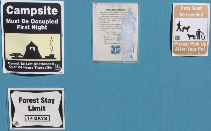 A Guide to camping at Schoolhouse Point Recreation Site in Arizona.