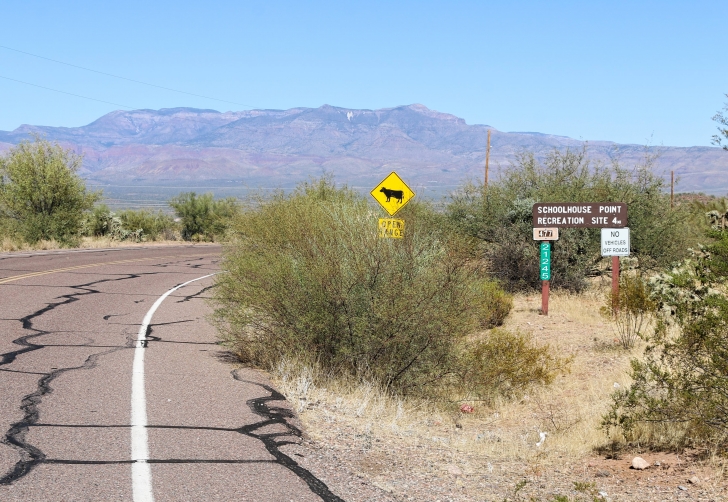 A Guide to camping at Schoolhouse Point Recreation Site in Arizona.