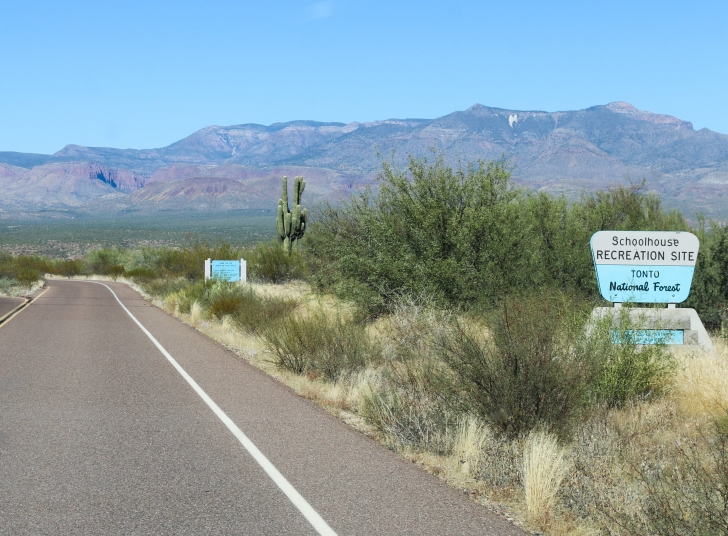 A Guide to camping at Schoolhouse Point Recreation Site in Arizona.