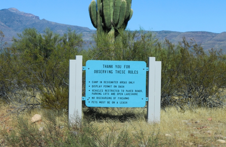 A Guide to camping at Schoolhouse Point Recreation Site in Arizona.