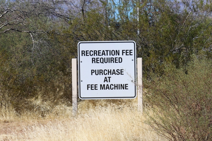 A Guide to camping at Schoolhouse Point Recreation Site in Arizona.