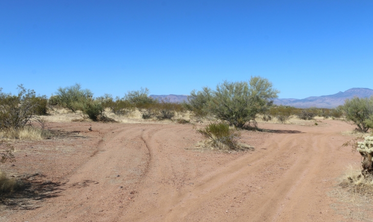 A Guide to camping at Schoolhouse Point Recreation Site in Arizona.