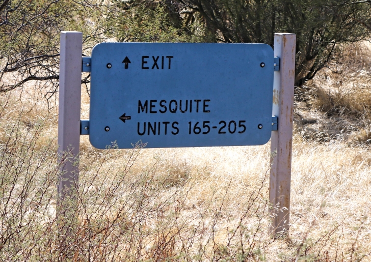 A Guide to camping at Schoolhouse Point Recreation Site in Arizona.