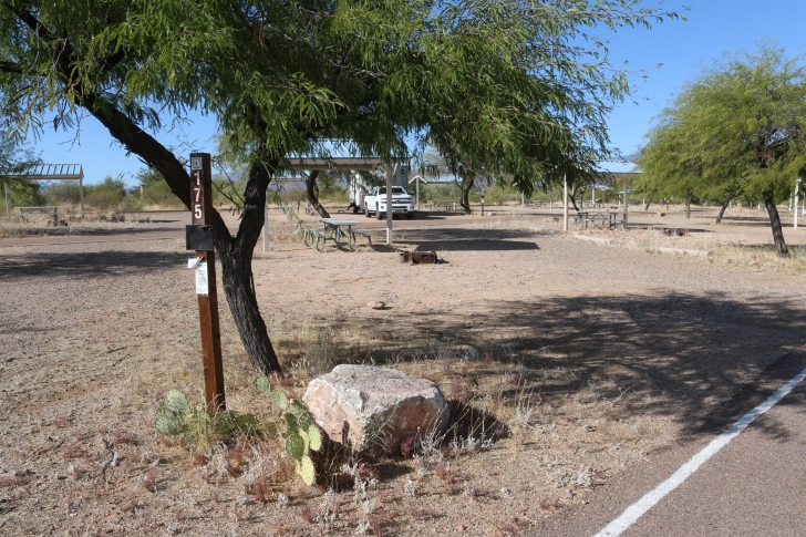 A Guide to camping at Schoolhouse Point Recreation Site in Arizona.