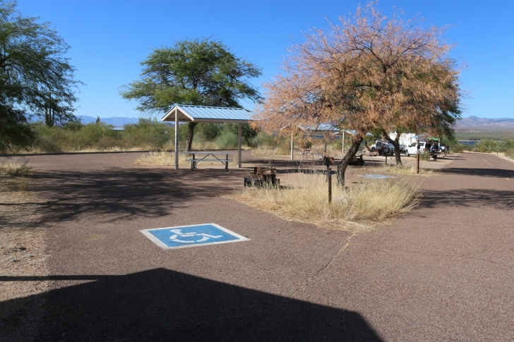 A Guide to camping at Schoolhouse Point Recreation Site in Arizona.