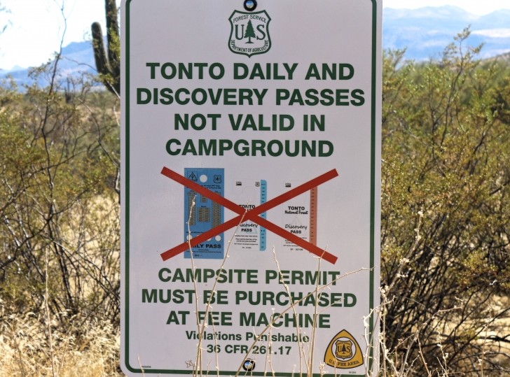 A Guide to camping at Schoolhouse Point Recreation Site in Arizona.