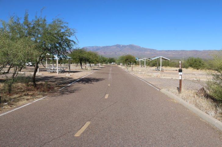 A Guide to camping at Schoolhouse Point Recreation Site in Arizona.