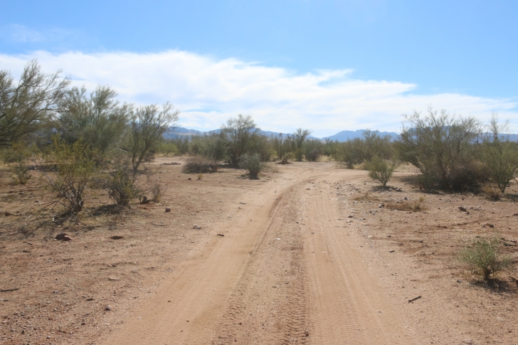A Guide to camping at Schoolhouse Point Recreation Site in Arizona.