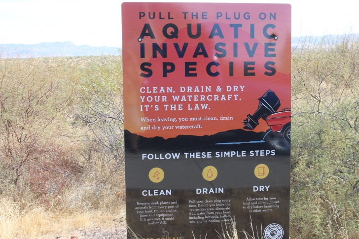 Camping in Windy Hill Recreation Site on Roosevelt Lake-Arizona