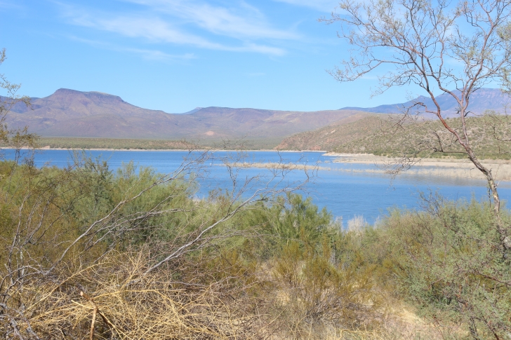 Camping in Windy Hill Recreation Site on Roosevelt Lake-Arizona