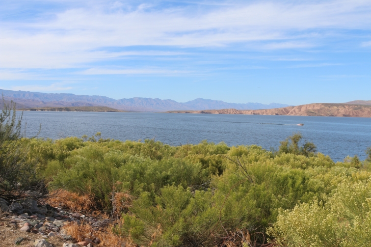 Camping in Windy Hill Recreation Site on Roosevelt Lake-Arizona