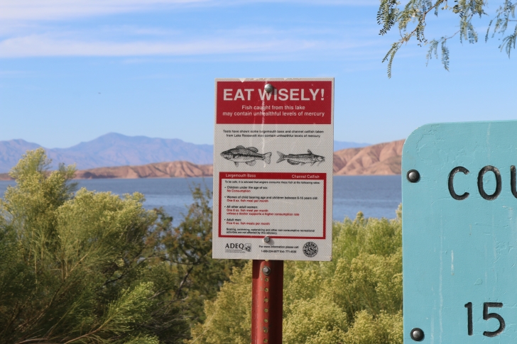 Camping in Windy Hill Recreation Site on Roosevelt Lake-Arizona