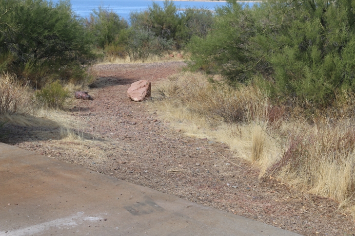 Camping in Windy Hill Recreation Site on Roosevelt Lake-Arizona