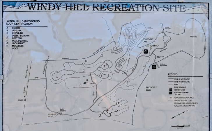 Camping in Windy Hill Recreation Site on Roosevelt Lake-Arizona