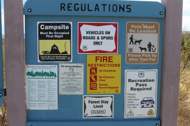 Camping in Windy Hill Recreation Site on Roosevelt Lake-Arizona