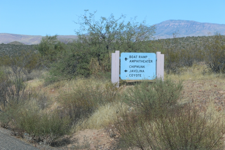 Camping in Windy Hill Recreation Site on Roosevelt Lake-Arizona