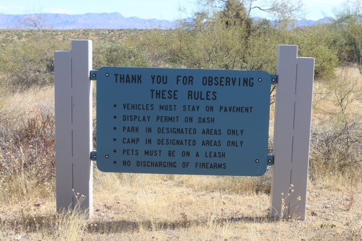Camping in Windy Hill Recreation Site on Roosevelt Lake-Arizona