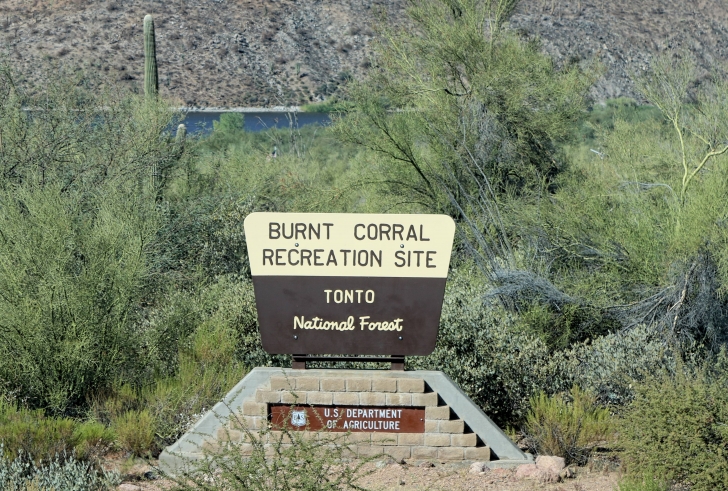 Camping in Burnt Corral Campground in Arizona