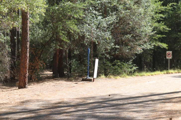 A guide to camping at Ponderosa Campground in Arizona.
