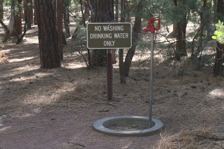 A guide to camping at Ponderosa Campground in Arizona.