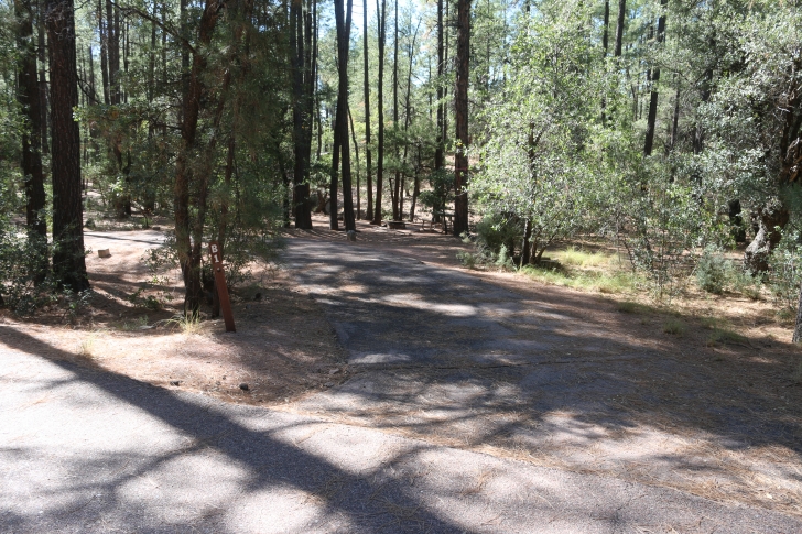 A guide to camping at Ponderosa Campground in Arizona.