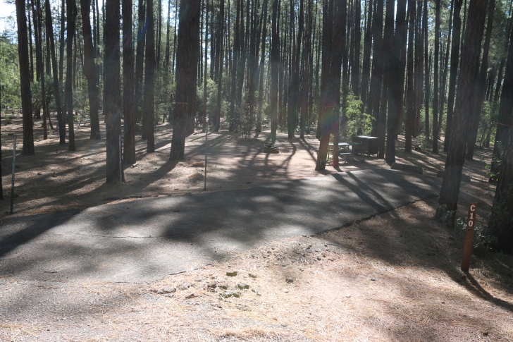 A guide to camping at Ponderosa Campground in Arizona.