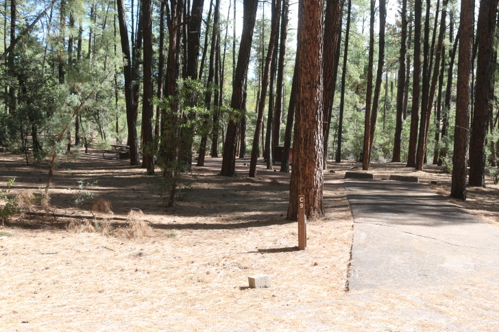 A guide to camping at Ponderosa Campground in Arizona.