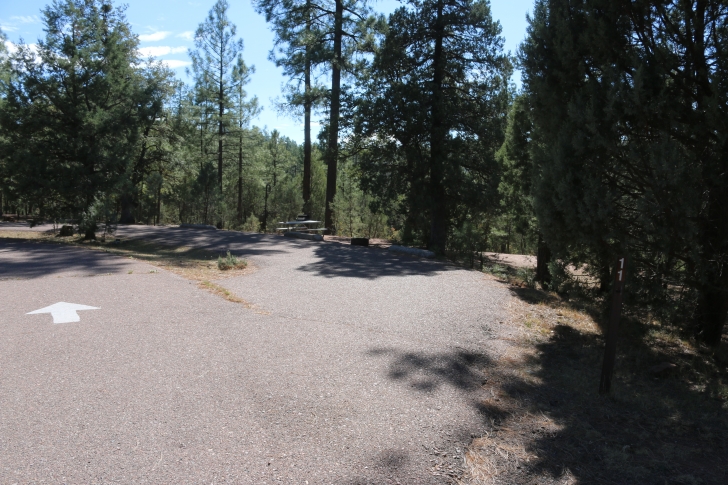 A guide to camping at Sharp Creek Campground - Arizona