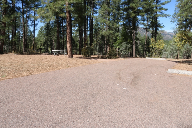 A guide to camping at Sharp Creek Campground - Arizona