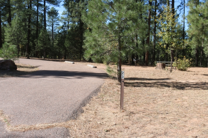 A guide to camping at Sharp Creek Campground - Arizona