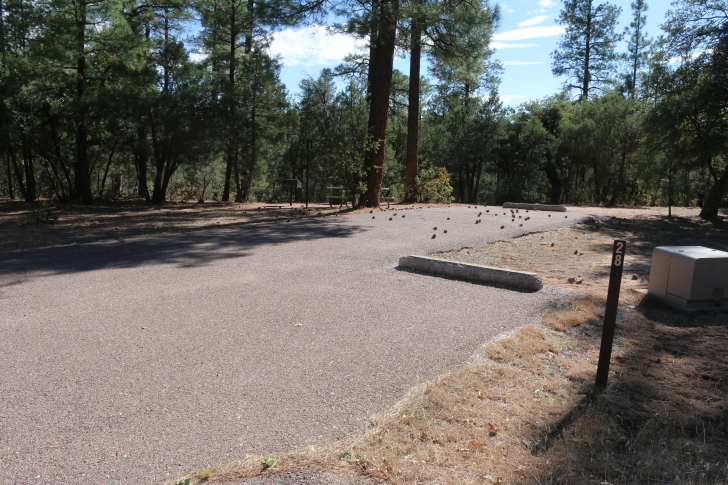 A guide to camping at Sharp Creek Campground - Arizona