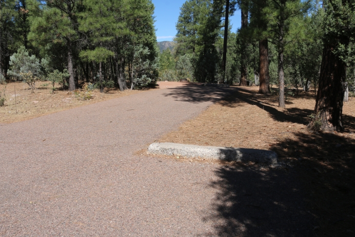 A guide to camping at Sharp Creek Campground - Arizona