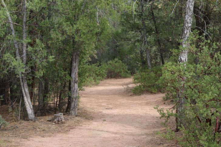 A Guide to Camping at Houston Mesa Campground in Arizona.