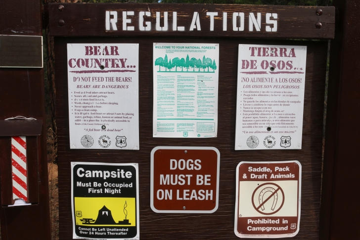 A Guide to Camping at Houston Mesa Campground in Arizona.