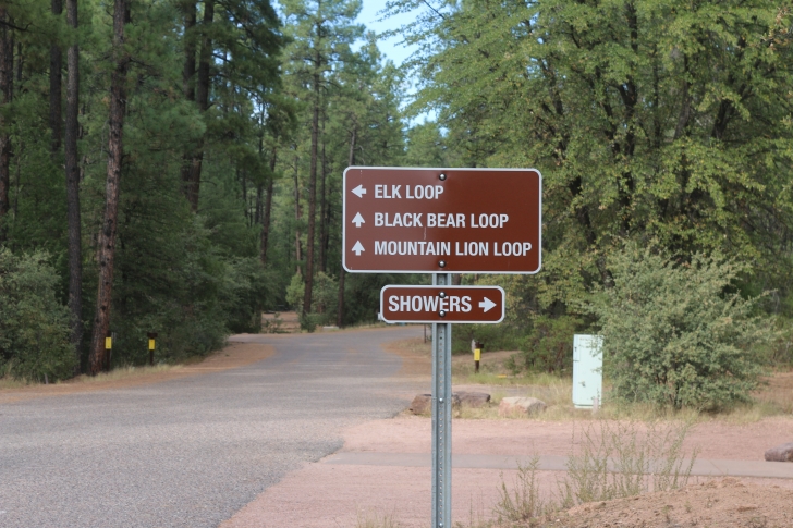 A Guide to Camping at Houston Mesa Campground in Arizona.