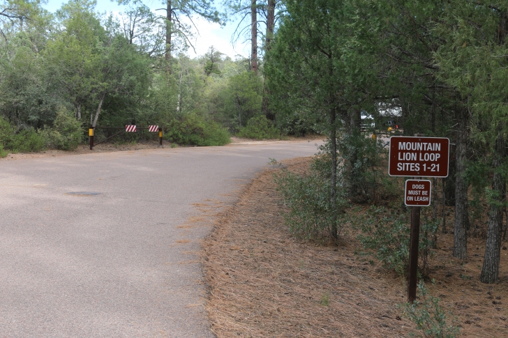 A Guide to Camping at Houston Mesa Campground in Arizona.